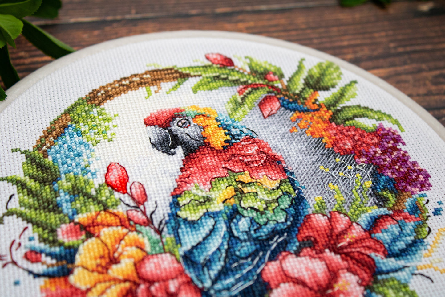 Cross stitch embroidery kit with embroidery hoop included - BC201 Tropical Parrot