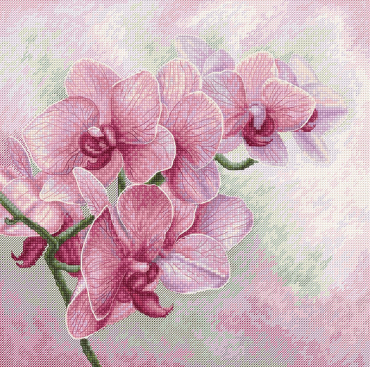 Cross stitch kit Luca-S - B7009 Graceful orchid