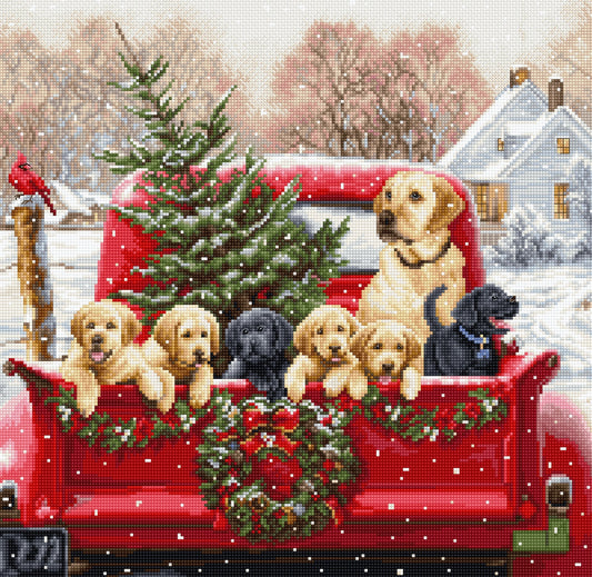 Cross stitch kit Luca-S GOLD - BU5009 The Labrador Truck