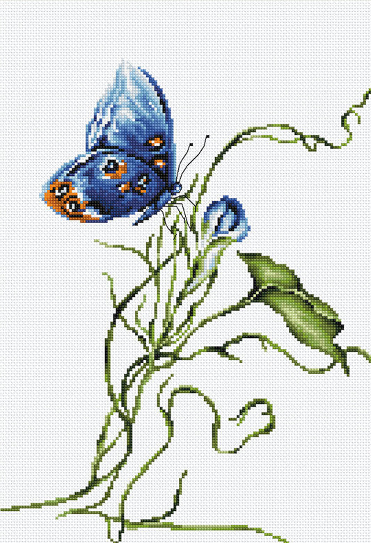 Cross stitch kit Luca-S - B2242 Emotion