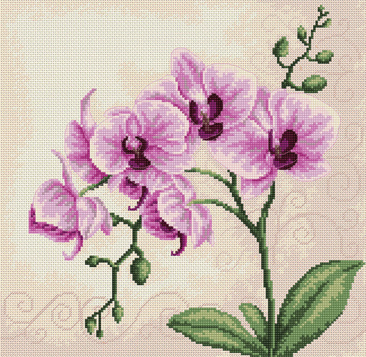 Cross stitch kit Luca-S - B2227 Orchid