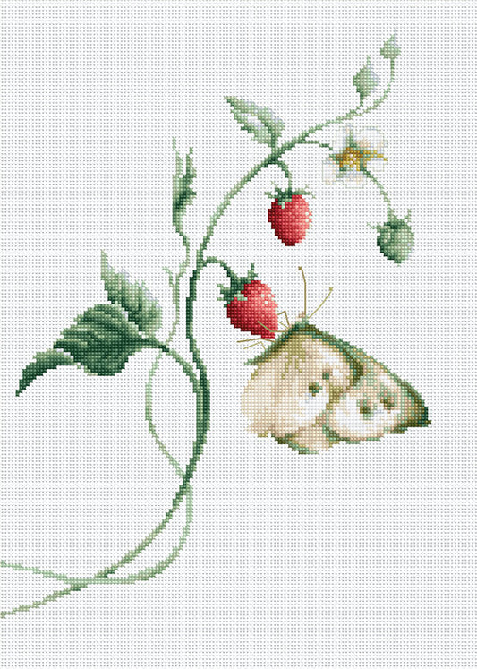 Cross stitch kit Luca-S - B2268 Summer aroma