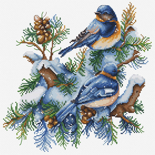 Cross stitch kit - B2418 Birds-Winter