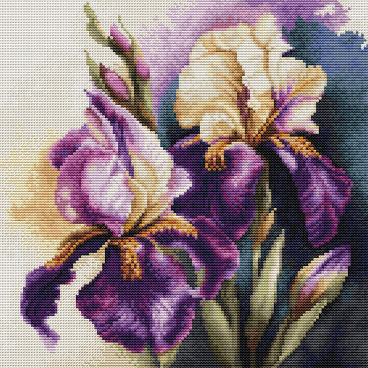 Cross stitch kit - Iris “Burgermeister”, B7023