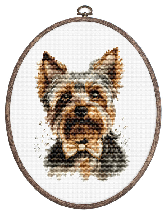 Cross stitch embroidery kit with embroidery hoop included - The Yorkshire Terrier, BC228