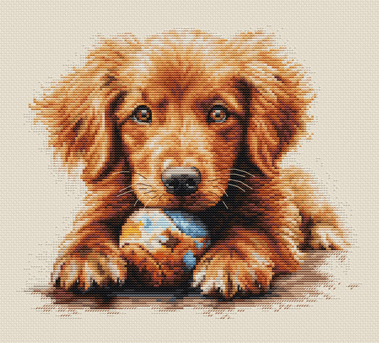 Cross stitch kit Luca-S - Playtime, BU5037