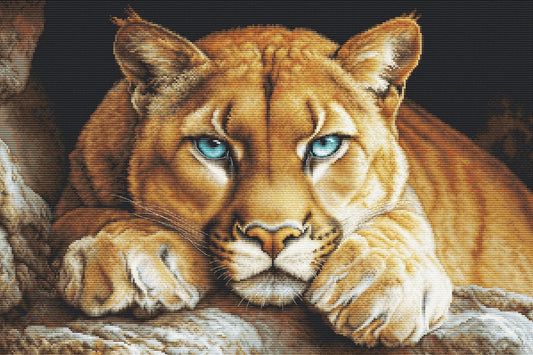 Cross stitch kit Luca-S GOLD - Wild Spirit, BU5081